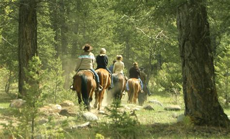 Guided Horseback Trail Rides Glacier National Park From The Saddle