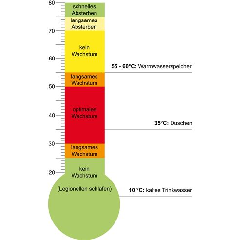 Sie können im trinkwasser, in klimaanlagen oder rückkühlsystemen vorkommen. Boiler »SOLARFOCUS