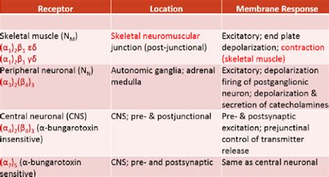 Cholinergic Receptors Muscarinic And Nicotinic And Their Distribution Pharmaguideline
