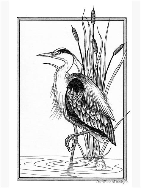 Great Blue Heron And Cattail Ink Illustration Art Print By