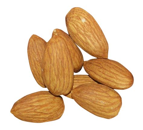 Big Almonds Png Download Png Image Almondpng74png