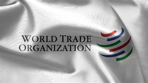 WTO Adalah Organisasi Perdagangan Dunia Pahami Tujuan Dan Fungsinya