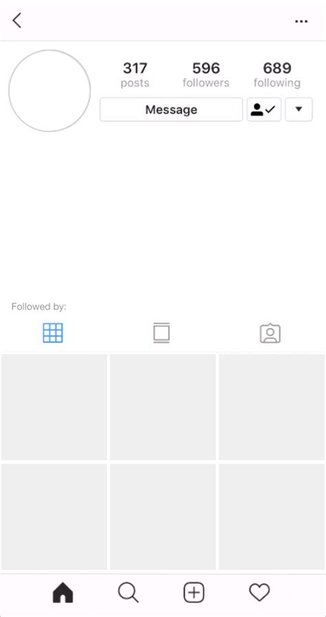 Fake Instagram Profile Template