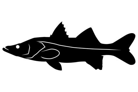 Snook Fish Silhouette Gráfico Por Idrawsilhouettes · Creative Fabrica