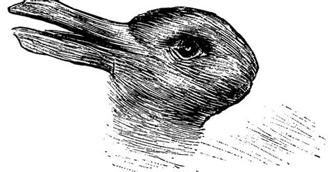 Is This A Rabbit Or A Duck Your Answer Reveals A Lot About Your Brain