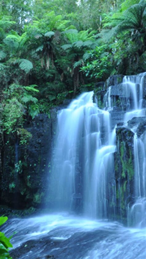 Free Download Tropical Rain Forest 4k Waterfall Wallpaper