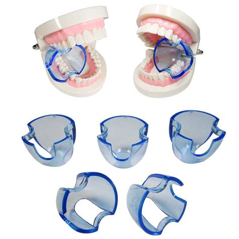 Buy Smiledt Dental Orthodontic Lip Cheek Retractor Expander Mouth
