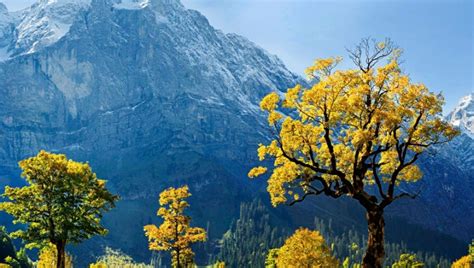 You can cut and paste the files to the d: Nature Wallpapers - 32+ Free JPG, PNG, PSD, AI, Vector EPS ...
