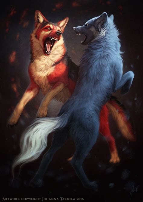Fire Wolf Vs Ice Wolf Wallpapers Wallpaper Cave