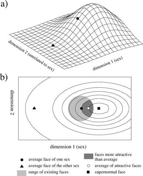 a simplified model of judgement of the sexual attractiveness of faces download scientific