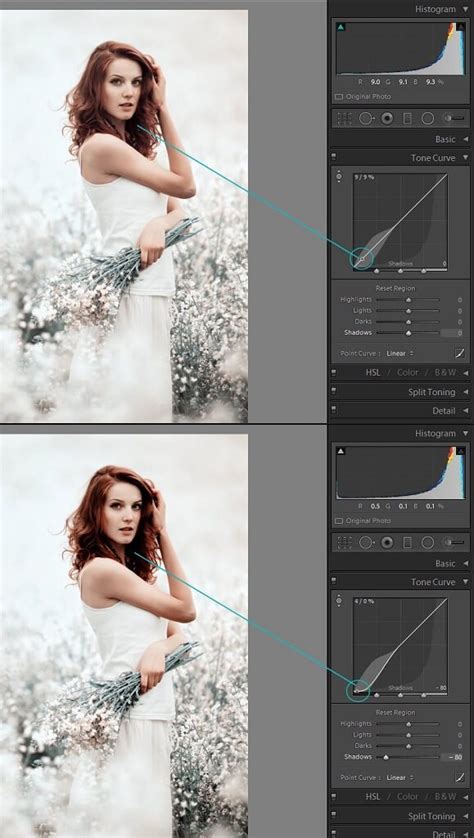 Using the tone curve panel is very similar as it also allows you to control the lightness and darkness of various parts of a given photograph, however lightroom has two different curves you can work with. How to Use the Tone Curve in Lightroom - Pretty Presets ...