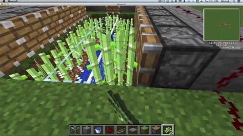 Minecraft Automatic Sugar Cane Farm Tutorial Youtube