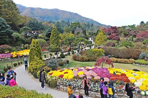 9 Tempat Wisata Di Korea Yang Bagus Dinikmati Untuk Musim Gugur
