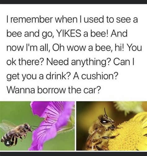 Know The Difference Meme Bee