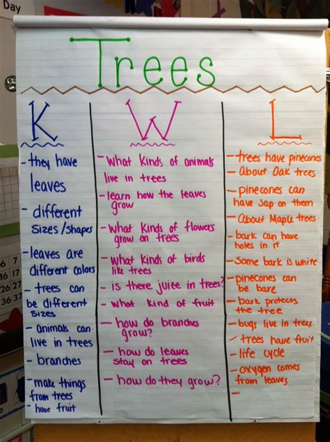 Mrs Kurts All Star Kindergarten Plus Blog Trees Creative