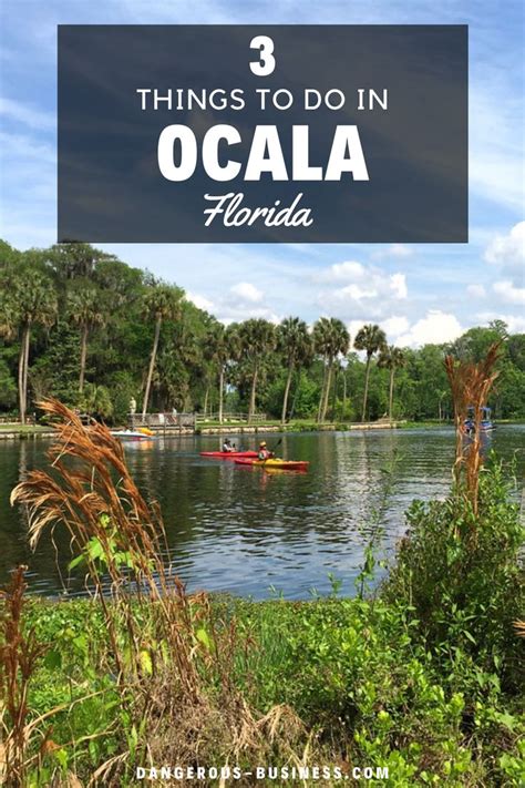 4 Unique Things To Do In Ocala Florida Florida Road Trip