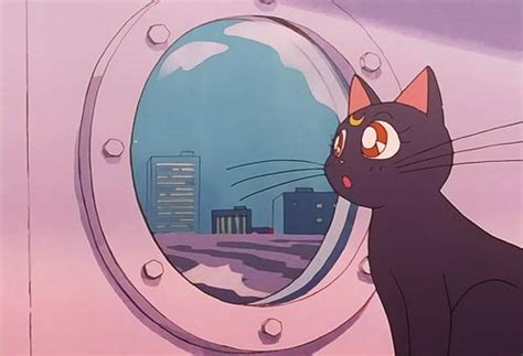 Cat Cats Sailor Moon Image 194769 On