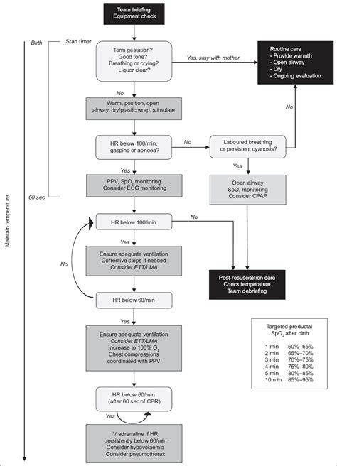 Neonatal Resuscitation Program Malaysia Neonatal Resuscitation