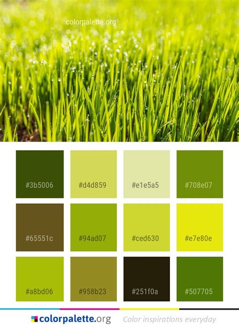 Grass Green Color Palette Inga Bermudez