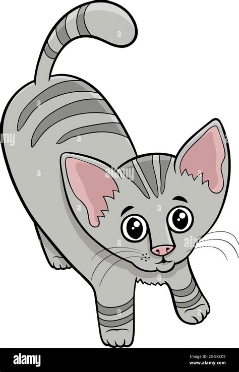 Cute Tabby Cat Or Kitten Cartoon Animal Character Stock Vector Image