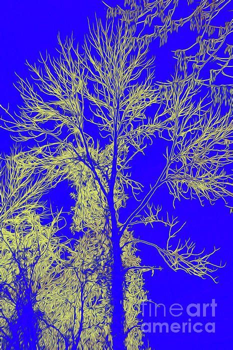 Tree Branches 17 By Chris Taggart Digital Artwork Tree Branches Tree