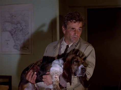 Peter Falk Columbo And His Dog Columbo Dogs Basset Dog