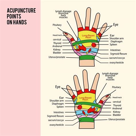 Hand Acupuncture Points Chart Focus