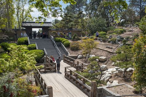 2012 Japanese Garden At Huntington Reopens After Major Renovation