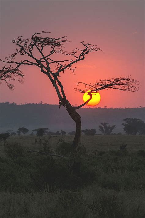 Wavemotions An African Sunset By Karthik La Vie En Rose African