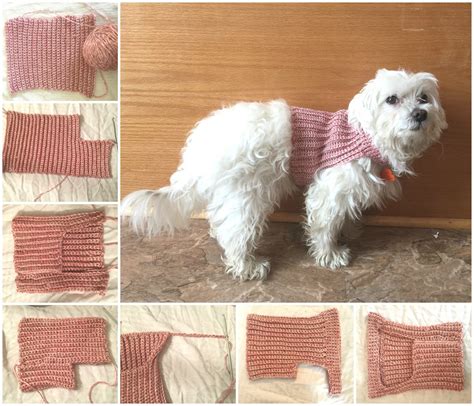 Messy Beautiful Fun Diy Crochet Dog Sweater