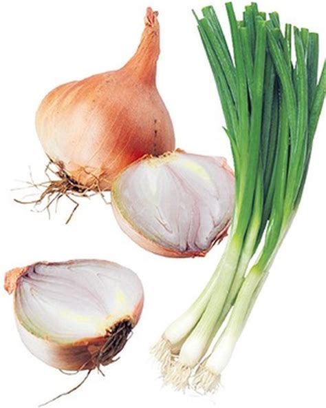 Tetsuya served a salad of langoustine with foie gras and eschalot tarragon vinaigrette. shallot - définition - What is