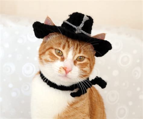 Cowboy Hat For Cats Country Western Cat Hat Cowboy Costume Etsy