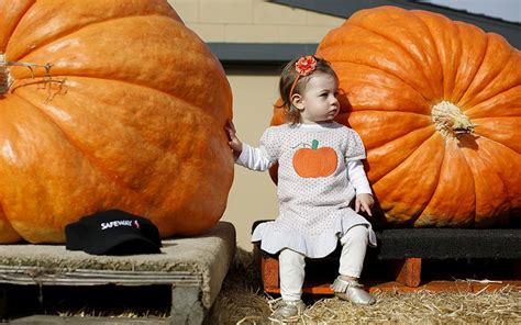 Halloween 2015 Fun Festivities Around The World In Pictures Pumpkin
