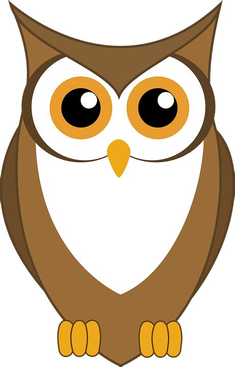 Owl Animal Wildlife · Free Vector Graphic On Pixabay