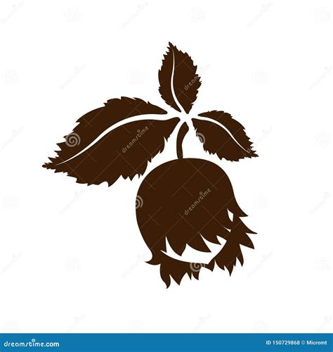Hazelnut Icon Isolated Vector Art Leaves And Fruits Stock Vector