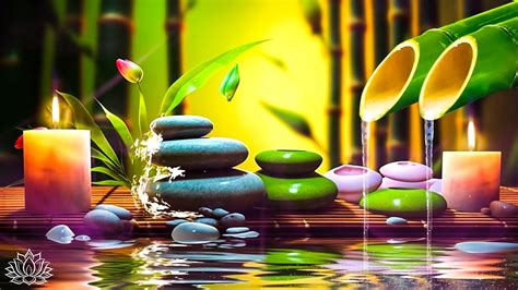 Relaxing Music • Spa Music Massage Yoga Sleep Music Running Water Stress Relief Music Zen