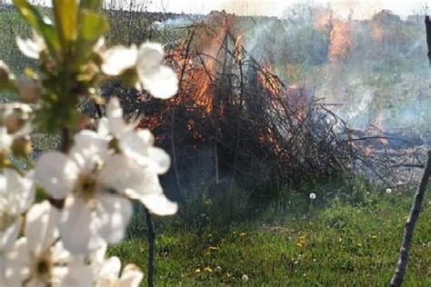 godišnjak palio suhu travu i vilama aktivirao skrivenu ručnu bombu OsijekNews hr vijesti