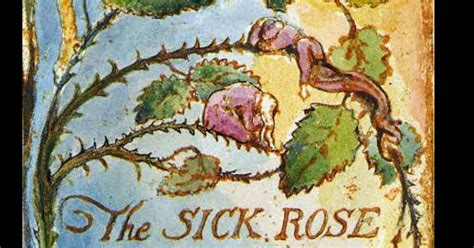 Poem The Sick Rose By William Blake Summary Explanation Litfogg