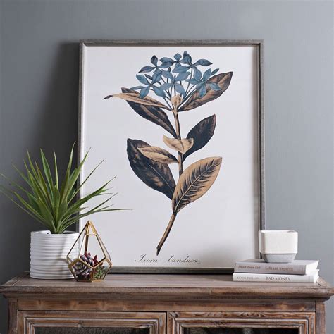 For A Fresh Look That Will Last Year Round Try Framed Plant Art These