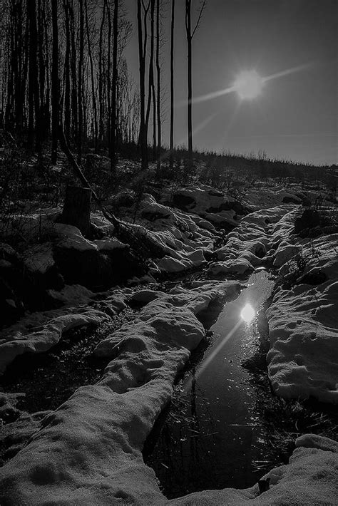 Dark Nature Black And White Landscape Winter Landscape Dark Photography