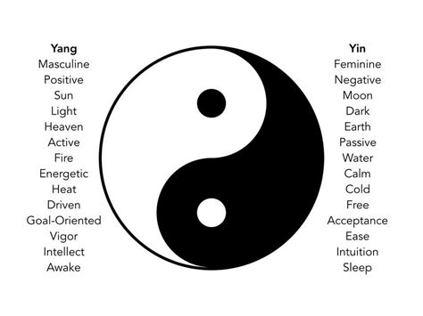The Yin And Yang Theory Sampleserre
