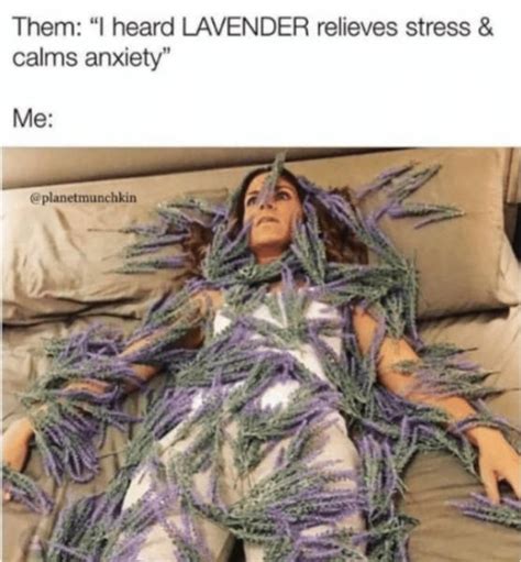 These Stressed Out Memes Are Way Too Relatable 30 Pics