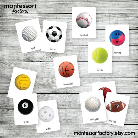 Sport Balls Montessori Cards Flash Cards Three Part Etsy