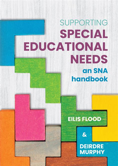 Supporting Special Educational Needs An Sna Handbook — Boru Press Ltd