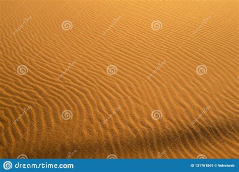 Sand Texture Of Sahara Desert Stock Image Image Of Sunset Landscape