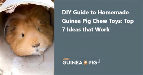 Diy Guide To Homemade Guinea Pig Chew Toys Top 7 Ideas That Work