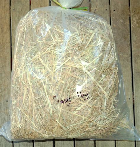 Ut Grassy Hay Bagged Uncle Toms Pet And Poultry