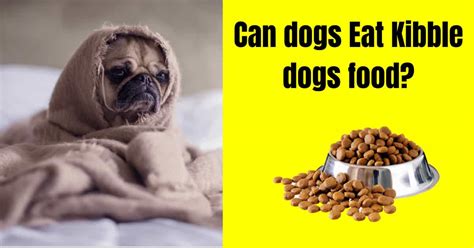 Ultamino dog food side effects. Can dogs eat Kibble Dog Food? Side effects - Benefits