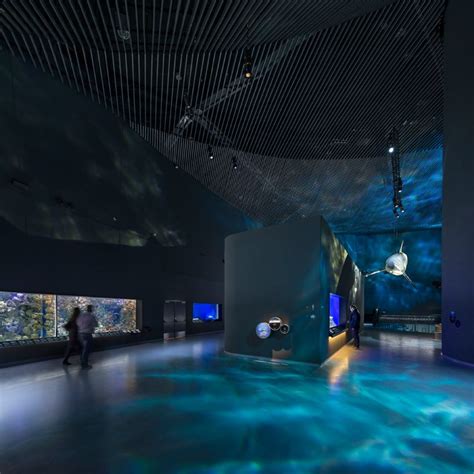 3xn Blue Planet Aquarium Open To The Public Blue Planet Aquarium