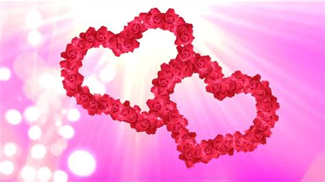 Animated Roses Hearts Video For Wedding Films With Shining Pink Background